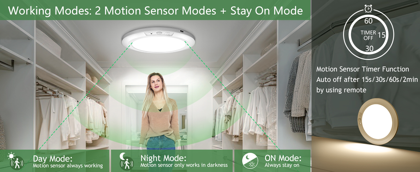 battery powered ceiling light